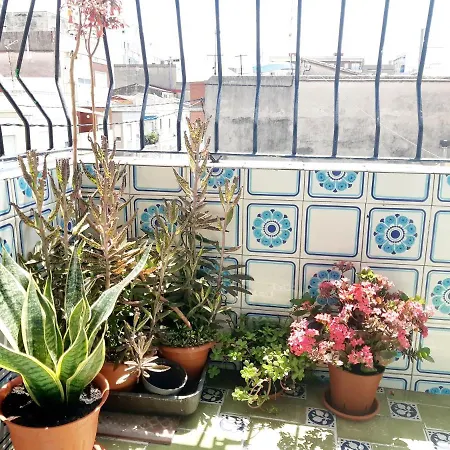 Vernissa Appartement *