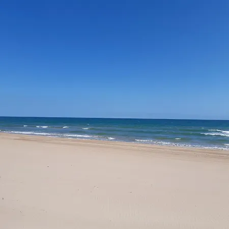 Vernissa Gandia